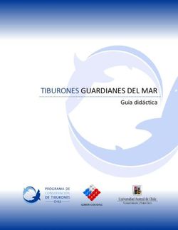 TIBURONES GUARDIANES DEL MAR - Guía didáctica