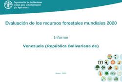 Venezuela (República Bolivariana de) - Informe Roma, 2020