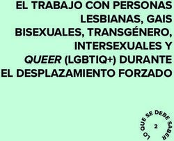 EL TRABAJO CON PERSONAS LESBIANAS, GAIS BISEXUALES, TRANSGÉNERO, INTERSEXUALES Y QUEER (LGBTIQ+) DURANTE EL DESPLAZAMIENTO FORZADO Refworld
