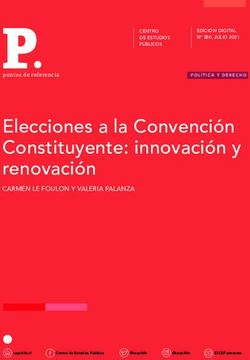 Elecciones a la Convención Constituyente: innovación y renovación - CARMEN LE FOULON Y VALERIA PALANZA