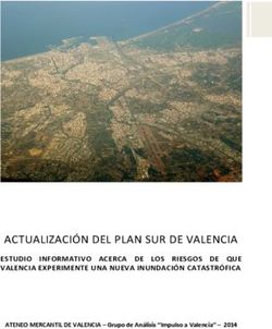 ACTUALIZACI&Oacute;N DEL PLAN SUR DE VALENCIA - ESTUDIO INFORMATIVO ACERCA DE LOS RIESGOS DE QUE VALENCIA EXPERIMENTE UNA NUEVA INUNDACI&Oacute;N CATASTR&Oacute;FICA