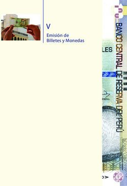 V Emisión de Billetes y Monedas - BCRP