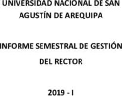 UNIVERSIDAD NACIONAL DE SAN AGUSTÍN DE AREQUIPA INFORME SEMESTRAL DE GESTIÓN DEL RECTOR 2019 - I - Unsa