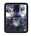 CONTROL DE LARVAS CONTROL DE MOSQUITOS. BACILLUS THURINGIENSIS TRAMPAS MONITOREO MOSQUITOS CONTROL DE PLAGAS FORESTALES - GMB Internacional