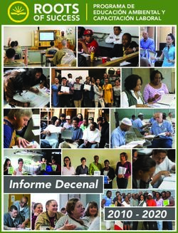 ROOTS OF SUCCESS - Informe Decenal