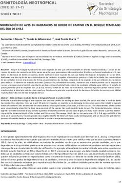 NIDIFICACIÓN DE AVES EN BARRANCOS DE BORDE DE CAMINO EN EL BOSQUE TEMPLADO DEL SUR DE CHILE - Sfu