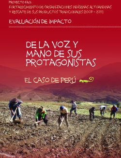De la voz y mano de sus protagonistas - El caso de peRÚ