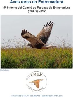 Aves raras en Extremadura - (CREX) 2022 5º Informe del Comité de Rarezas de Extremadura
