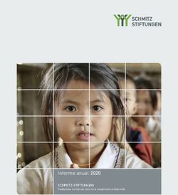 Informe anual 2020 SCHMITZ-STIFTUNGEN