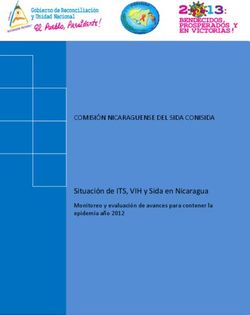 COMISIÓN NICARAGUENSE DEL SIDA CONISIDA - Situación de ITS, VIH y Sida en Nicaragua Monitoreo y evaluación de avances para contener la epidemia ...