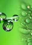 Cat&aacute;logo 2021 PRODUCTOS NANOTECNOL&Oacute;GICOS - LionClean, especialistas en desinfecci&oacute;n y limpieza mediante nuevas tecnologias.