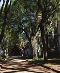 MANUAL DE SERVICIOS DE ABORTO TRANS-INCLUSIVOS: POL&Iacute;TICAS Y PR&Aacute;CTICAS - ARGENTINA - OTD CHILE