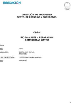 DIRECCIÓN DE INGENIERIA DEPTO. DE ESTUDIOS Y PROYECTOS. OBRA: RIO DIAMANTE - REPARACION COMPUERTAS MATRIZ 2018