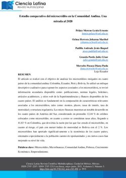 Estudio comparativo del microcrédito en la Comunidad Andina. Una mirada al 2020