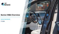 Iberian M&A Overview FY 2019 - Sector Automoci&oacute;n - PKF Attest
