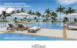 Exclusivos condominios en Playa del Carmen, M&eacute;xico - Exclusive condominiums in Playa del Carmen, Mexico. Exklusive Ferienwohnungen an der Playa ...