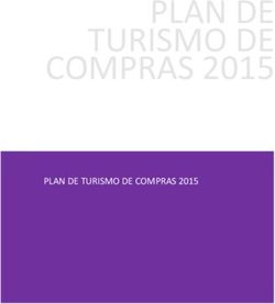 PLAN DE TURISMO DE COMPRAS 2015 - PLAN DE TURISMO DE COMPRAS 2015