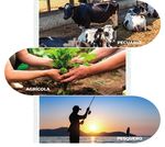 EXPECTATIVAS AGROALIMENTARIAS - MAYO 2021
