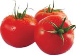 EXPECTATIVAS AGROALIMENTARIAS - MAYO 2021