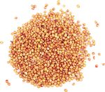 EXPECTATIVAS AGROALIMENTARIAS - MAYO 2021
