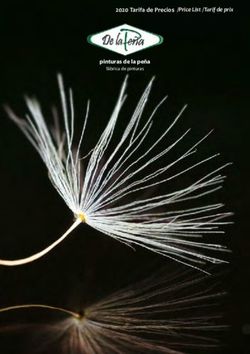 Pinturas de la peña 2020 Tarifa de Precios /Price List /Tarif de prix