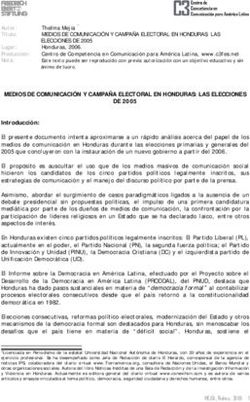 MEDIOS DE COMUNICACI&Oacute;N Y CAMPA&Ntilde;A ELECTORAL EN HONDURAS: LAS ELECCIONES DE 2005