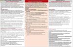 PLAN DE ACCI&Oacute;N VOLUNTARIADO 2018-2020 - Plataforma del ...