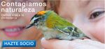 PROGRAMA ESTRAT&Eacute;GICO 2013-2020 - SEO Birdlife