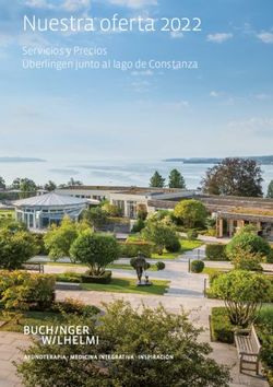 Nuestra oferta 2022 Servicios y Precios &Uuml;berlingen junto al lago de Constanza - BUCHINGER WILHELMI